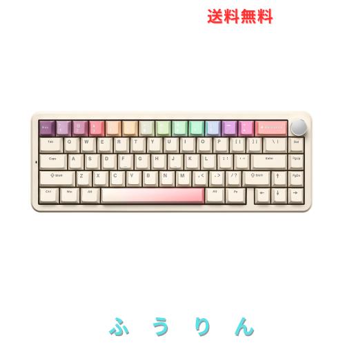 YUNZII B68 65％ ワイヤレスメカニカルキーボード ゲーミングキーボード BT5.0/2.4GHz/有線 ホットスワップ対応 ガスケットキーボード RG