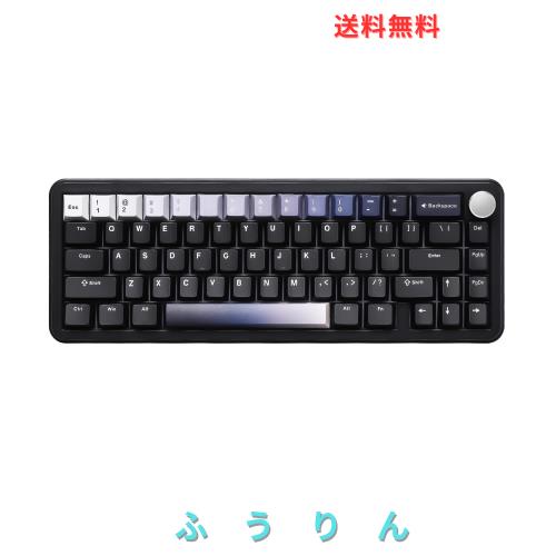 YUNZII B68 65％ ワイヤレスメカニカルキーボード ゲーミングキーボード BT5.0/2.4GHz/有線 ホットスワップ対応 ガスケットキーボード RG