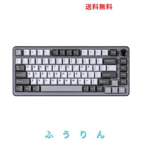 YUNZII B75 75% 有線 メカニカルキーボード ホットスワップ対応 ガスケット搭載 RGBバックライト 高耐久 英語配列 PBTキーキャップ チェ