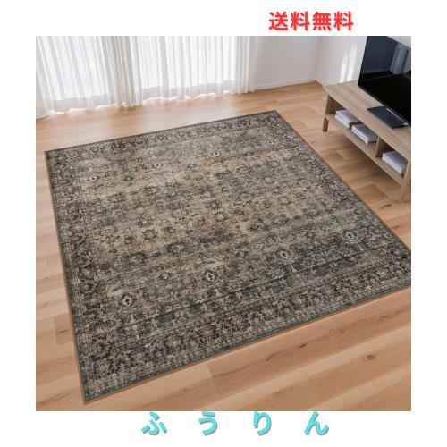 HAOCOO カーペット ラグ 2畳 洗える 185×185cm 正方形 オールシーズン適用 絨毯 ペルシャ風 ふわふわ おしゃれ 滑り止め ホットカーペッ