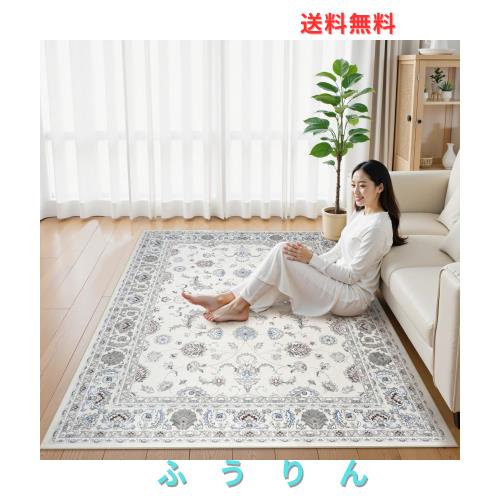 HAOCOO カーペット 200х300cm 4畳 滑り止め ホットカーペット対応 ペルシャ風 ラグ 洗える オールシーズン適用 花柄 防音 耐磨耗性 軽量