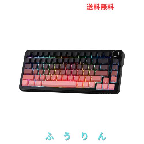 MechLands AJAZZ AK820 MAX HE ホール効果ゲーミングキーボード アクチュエーション調整可能 8KHzポーリングレート 有線ラピッド磁気キー