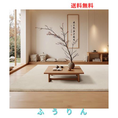 ラグマット カーペット 160x230cm 全厚約2cm 滑り止め付 洗えるラグ 抗菌 ふわっと手触り 防音絨毯 オールシーズ おしゃれな北欧風シャギ