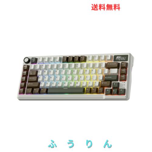 RK ROYAL KLUDGE L75 メカニカルキーボード、ガスケットアセンブリ、ボタン/マクロキー、タッチ可能ネームプレート、トライモードBT/2.4G