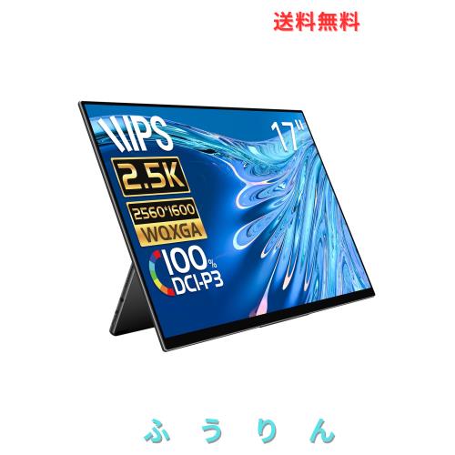 モバイルモニター EHOMEWEI 2.5K 17インチ E170DSR EHOMEWEI モバイルモニター 2.5K 17インチ WQXGA 2560x1600 100% DCI