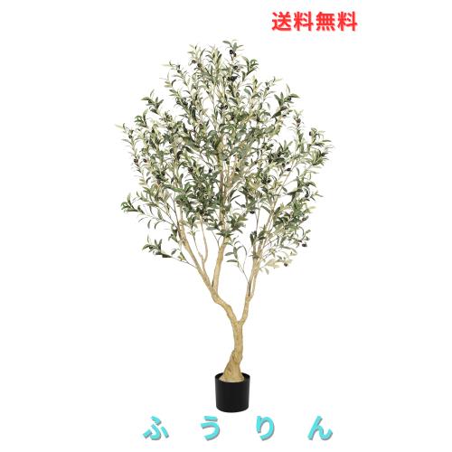 LYERSE フェイクオリーブの木 【高さ183cm】大型 人工観葉植物 観葉樹 空気清浄 大型光触媒 消臭対応 リアルな樹形 室内インテリア 玄関