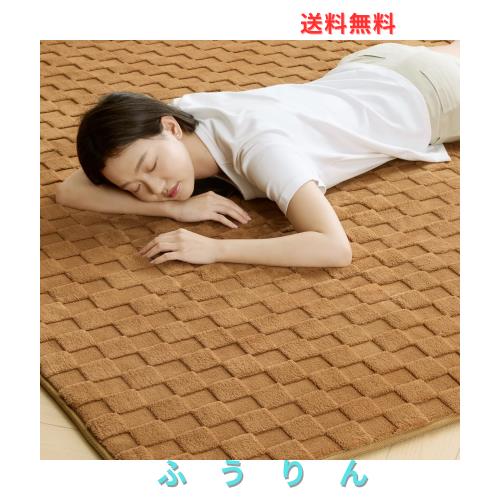 Ashler ラグ カーペット 極厚20mm 厚手 200×250cm 約3畳 防音 防ダニ 抗菌 低ホルム ふわっと手触り もちもち 滑り止め ホットカーペッ
