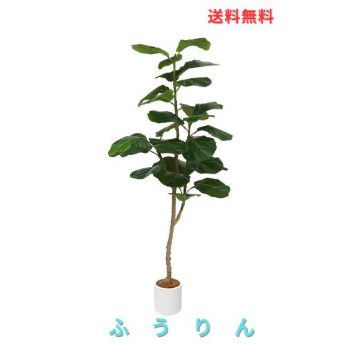 Melvint フェイクグリーン 大型 歓葉植物 フェイク 人工歓葉植物 光触媒 室内 水やり不要 お手入れ簡単 空気清浄 消臭 抗菌 シンプル お