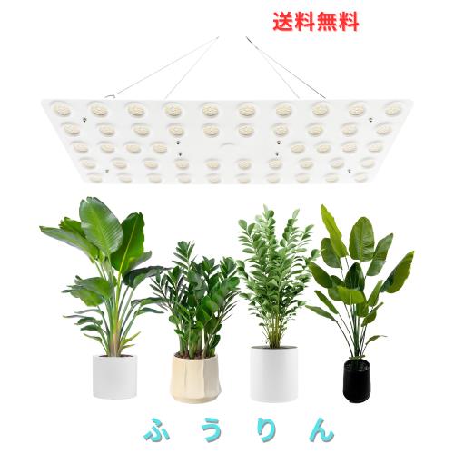 bseah 屋内植物育成ライト 量子灯 フルスペクトルLED植物ライト IP65防水 0-10Vつまみ調光 240W 室内栽培・家庭菜園・室内ガーデニング。