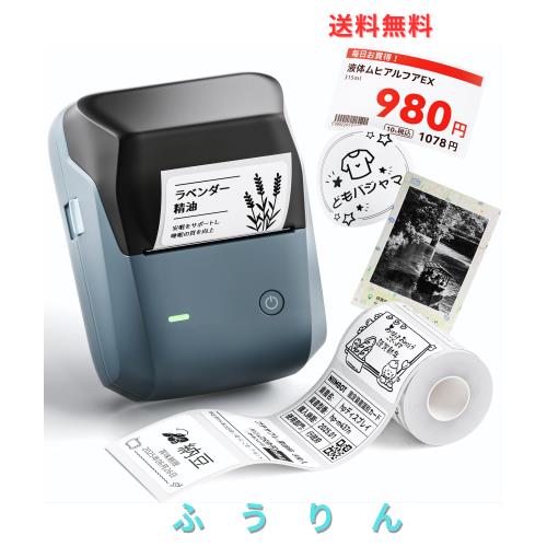 NIIMBOT B1Pro ラベルメーカー スマホ対応 サーマルプリンター 感熱ラベルプリンター 300DPI印刷 Bluetooth接続 ブルー 6,914円