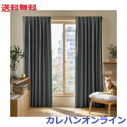 Deconovo カーテン 1級遮光 2枚組 幅200×丈200cm 厚手 ドレープ 形態記憶 洗濯OK UVカット 日本JSL認証 遮光率99.99% 昼夜の視線対策 省