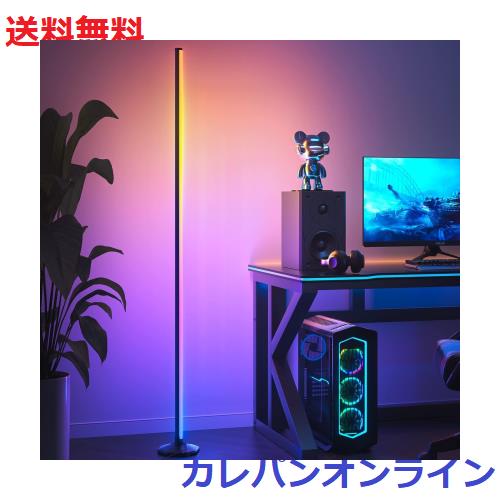 フロアーライト RGB 変色 フロアスタンド LED ランプ 調光調色 高さ145cm スタンドライト タイマー機能 間接照明 クリエイティブDIYモー