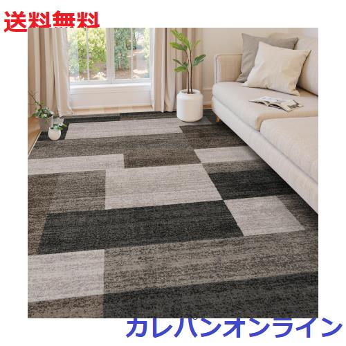 カーペット 洗える 200X300cm ラグ 春 夏 4畳 北欧風 モダン モダン ふわふわ 滑り止め 防音 抗菌防臭 室内用 正方形 ラグマット オール 13,393円