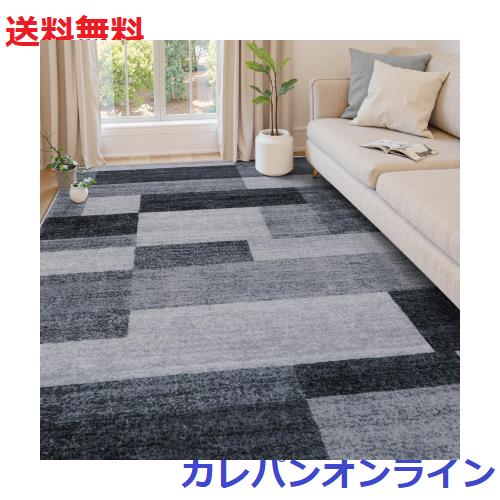 カーペット 洗える 200X300cm 春 夏 ラグ 4畳 北欧風 モダン モダン ふわふわ 滑り止め 防音 抗菌防臭 室内用 正方形 ラグマット オール