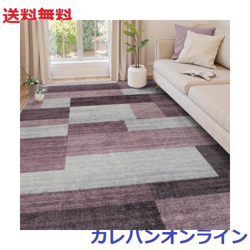 カーペット 4畳 洗える 200X300cm 春 夏用 ラグ 北欧風 モダン モダン ふわふわ 滑り止め 防音 抗菌防臭 室内用 正方形 ラグマット オー