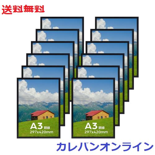 額縁 軽量 A3 写真 ポスター アート フォトフレーム 壁掛け 29.7x42cm ブラック 12枚 セット