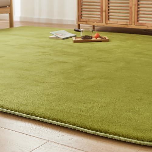 VK Ingeroom カーペット ラグ 極厚25mm 約3畳 厚手 ラグマット 防音 滑り止め付 抗菌 防臭 防ダニ 低ホルム ふわっと手触り高反発 床暖房 7,219円