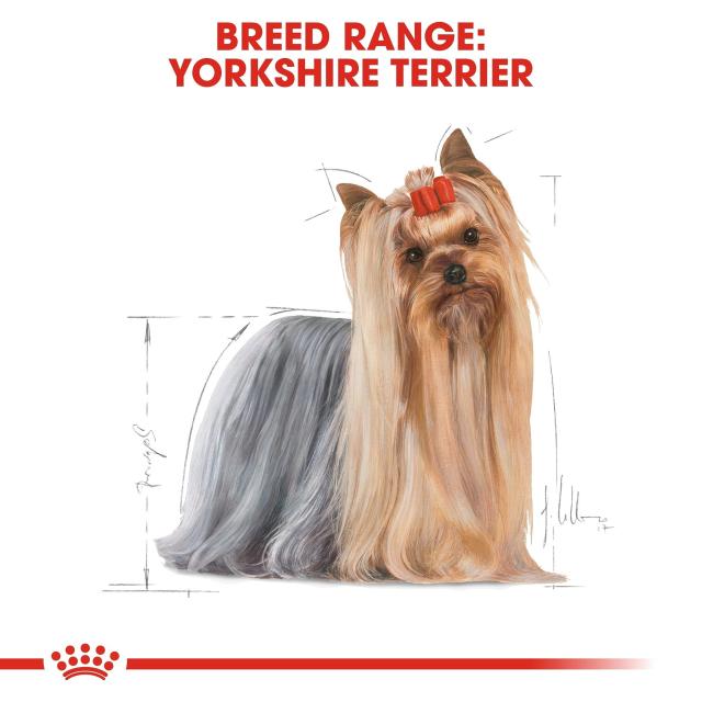 ロイヤルカナン BHN ヨークシャーテリア 成犬・高齢犬用 1.5kg ロイヤルカナン BHN ヨークシャーテリア 成犬・高齢犬用 1.5kg