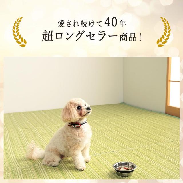 イケヒコ ラグ カーペット 日本製 ポリプロピレン カーペット バルカン 本間4.5畳 グリーン 洗える 畳 上敷き ござ ゴザ い草調 おしゃれ_6