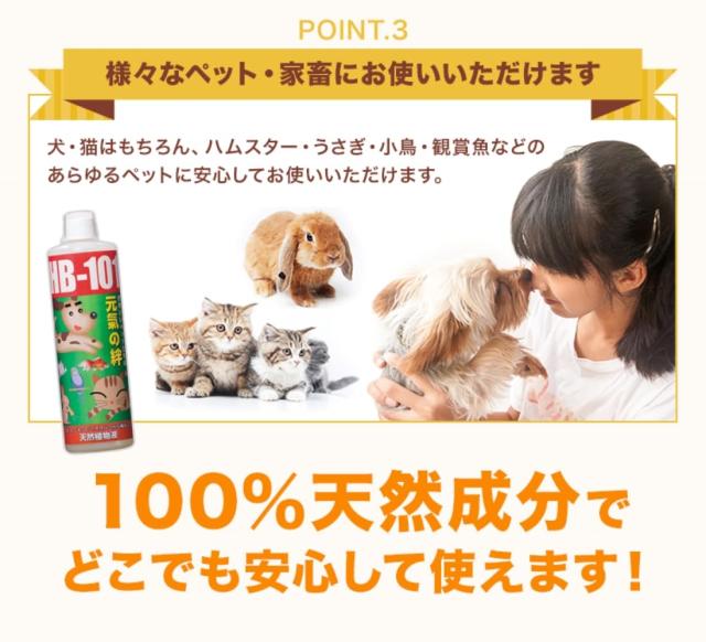 フローラ(Flora) ペット用健康食品 HB-101 ヘルスケア 原液 500ml_3