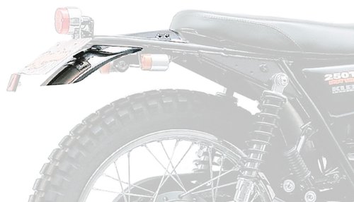 デイトナ(Daytona) ショートリアフェンダー ステンレス 250TR(’02-’13) 42793