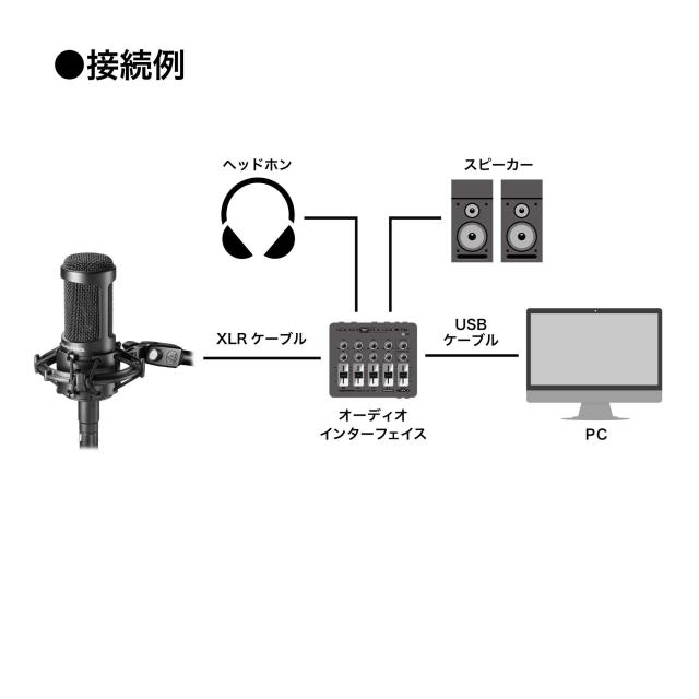 オーディオテクニカ AT2050 コンデンサーマイク XLR 単一指向性マイク / 双指向 / 全指向 / ローカットスイッチ / PADスイッチ / 専用シ_4