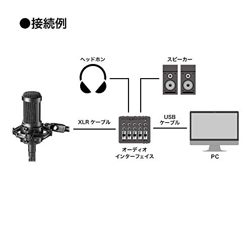 オーディオテクニカ AT2050 コンデンサーマイク XLR 単一指向性マイク / 双指向 / 全指向 / ローカットスイッチ / PADスイッチ / 専用シ_6