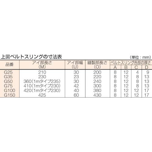 TRUSCO(トラスコ) ベルトスリング JIS3等級 両端アイ形 100mmX10.0m G100-100_5