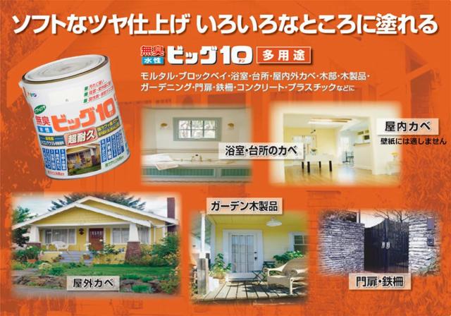 アサヒペン えの具 えの具 水溶性ビッグ10多役立つこと 5L 217パール白いこと 水溶性 多役立つこと 半ツヤ ホンブルグ帽なツヤ 1回ペンキ塗り 超耐久 無臭 一種独特フッ素樹