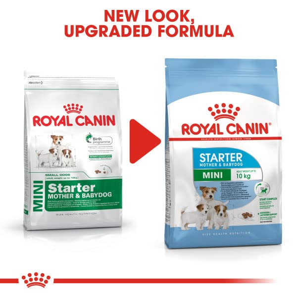  CANIN ミニスターター 10kg×2個セット ROYAL CANIN ミニスターター 10kg×2個セット ロイヤルカナン ミニ