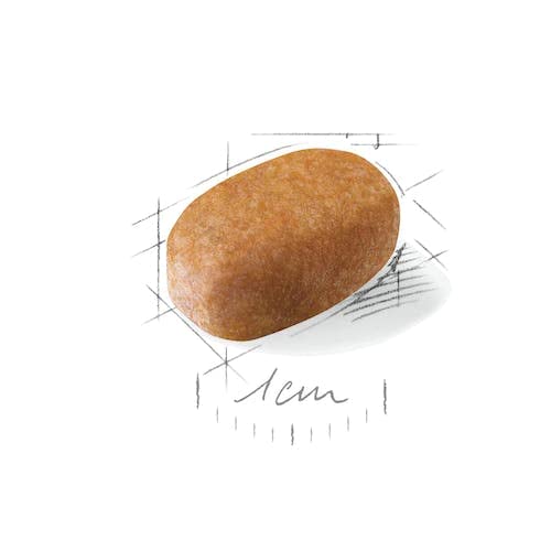 ロイヤルカナン BHN マルチーズ 成犬・高齢犬用 1.5kgの通販は ロイヤルカナン BHN マルチーズ 成犬・高齢犬用 1.5kgの通販は