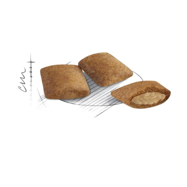 ロイヤルカナン FHN エイジング +12 猫用 2kg_4