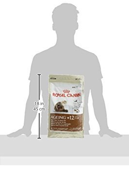 ロイヤルカナン FHN エイジング +12 猫用 4kg_1