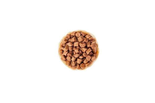 ロイヤルカナン FHN-WET キトン グレービー 子猫用 85g12個入りBOX×4個(合計48個)_4