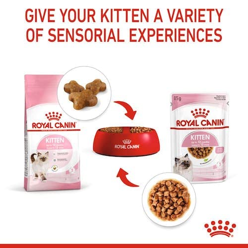 ロイヤルカナン FHN-WET キトン グレービー 子猫用 85g12個入りBOX×4個(合計48個)_8