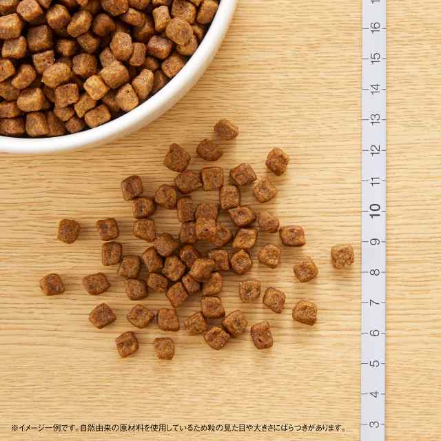 nutro ニュートロ ナチュラル チョイス 子犬用 妊娠中・授乳中の母犬にも 超小型犬~中型犬用 チキン＆玄米 6kg ドッグフード