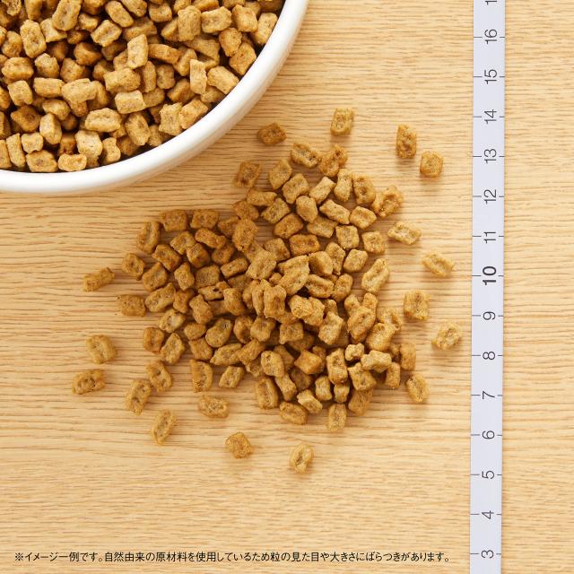 nutro ニュートロ ナチュラルチョイス 避妊・去勢犬用 超小型犬~小型犬用 成犬用 生後8ヶ月以上 チキン＆玄米 6kg ドッグフード_6