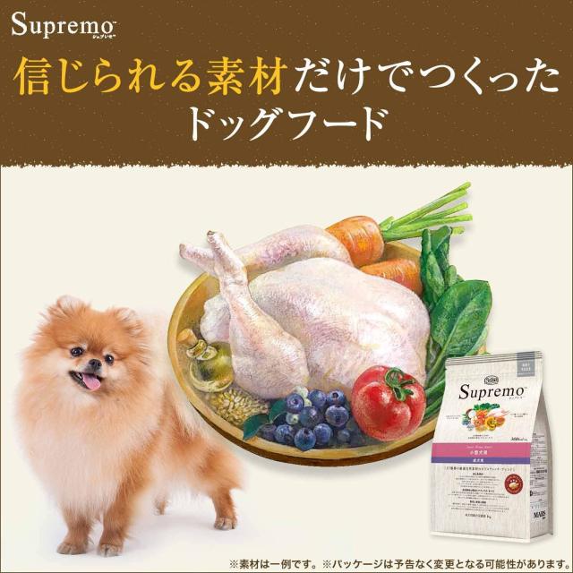 Nutro ニュートロ シュプレモ エイジングケア 4kg ドッグフード