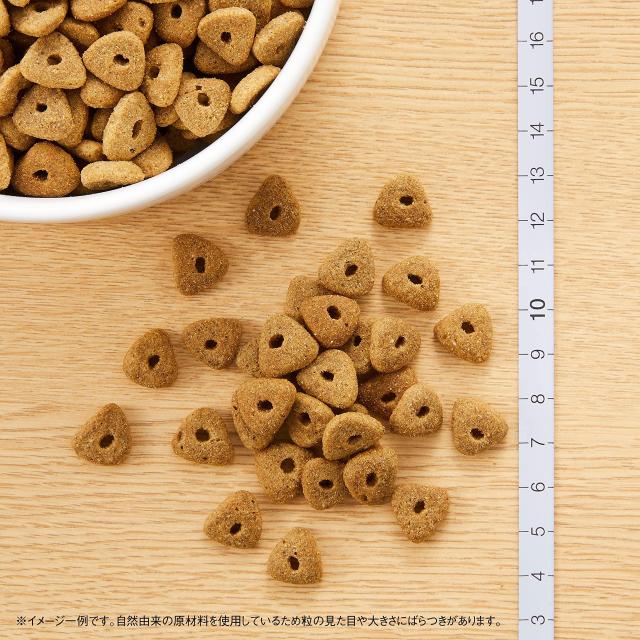 ★未開封★ニュートロシュプレモNutroSupremo ドッグフードシニア6kg ニュートロ シュプレモ シニア犬用｜みんなのペット健康専門店