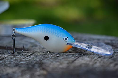 Rapala(ラパラ) クランクベイト DT ダイブストゥ 5cm 12g マルディグラ MGRA DT6-MGRA ルアー｜au PAY マーケット