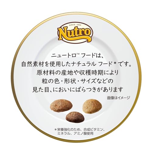 ニュートロ シュプレモ 小型犬用 成犬用 6kg 【公式通販】
