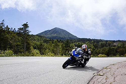 IRC(アイアールシー)井上ゴムバイクタイヤ RX-02 リア 130/80-17 65H チューブレスタイプ(TL) 302738 二輪 オートバイ用_1