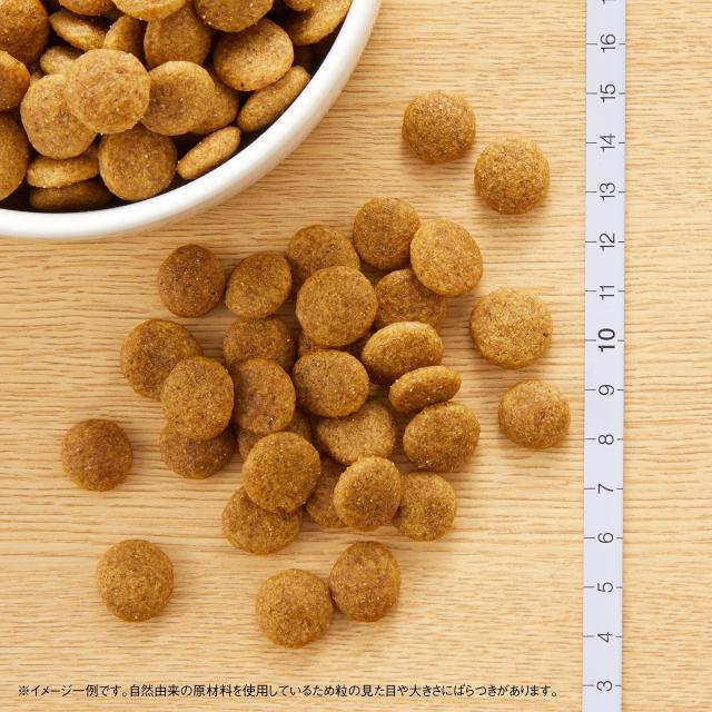 Nutro ニュートロ 自然的 より分ける 中型犬~大型犬用 成犬用 意気地無し＆玄米 15kg ドッグフード