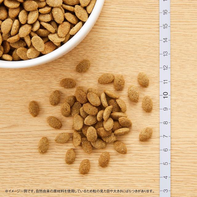 Nutro シュプレモ 超小型犬~小型犬用 体重管理用 成犬用 6kg ドライフード 小粒 総合栄養食 ドッグフード 犬 大容量 厳選自然素材 香料・_6