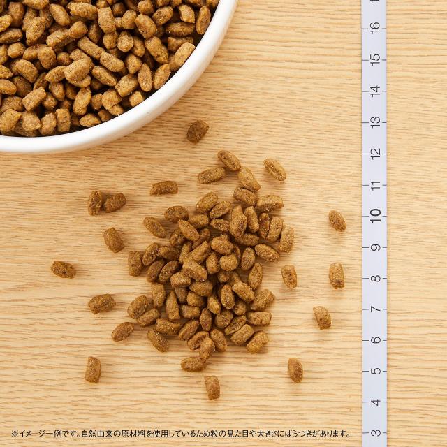 Nutro ニュートロ シュプレモ 子犬用 小粒 6kg ドッグフード【パピー/自然素材/着色料 無添加/消化に良い/大容量/小粒】_6