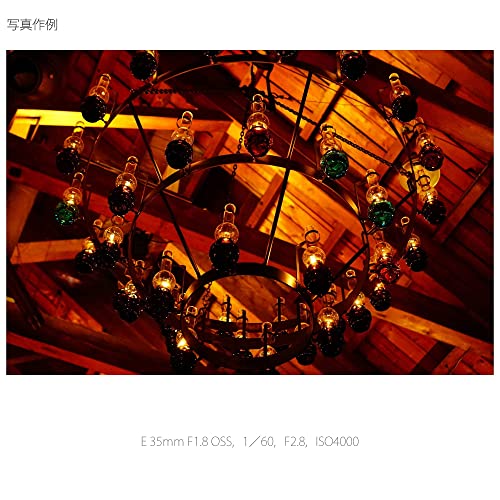 ソニー(SONY) 標準単焦点レンズ APS-C E 35mm F1.8 OSS デジタル一眼カメラα[Eマウント]用 純正レンズ SEL35F18_2