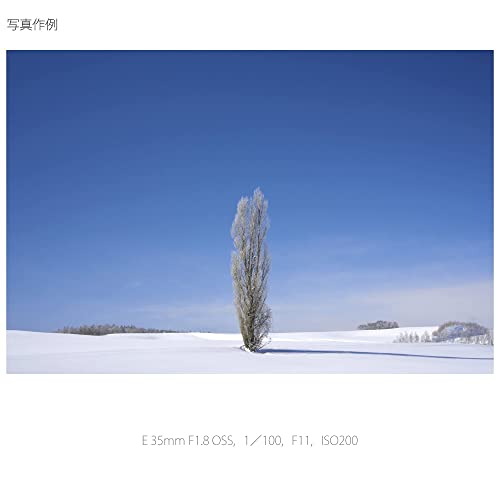 ソニー(SONY) 標準単焦点レンズ APS-C E 35mm F1.8 OSS デジタル一眼カメラα[Eマウント]用 純正レンズ SEL35F18_3