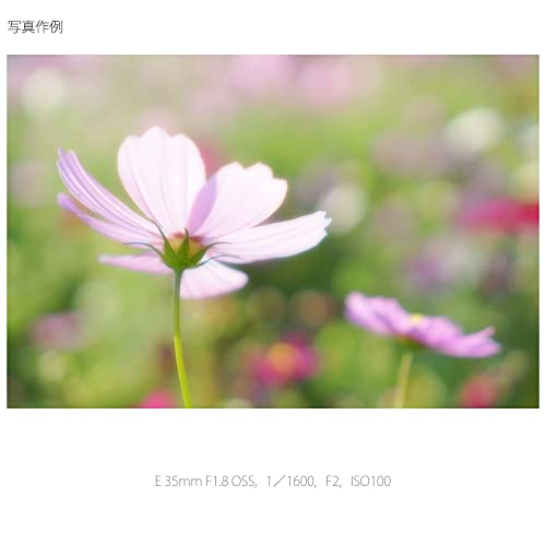 ソニー(SONY) 標準単焦点レンズ APS-C E 35mm F1.8 OSS デジタル一眼カメラα[Eマウント]用 純正レンズ SEL35F18_4