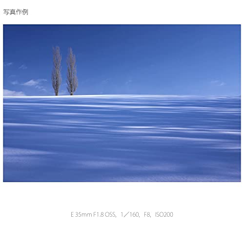 ソニー(SONY) 標準単焦点レンズ APS-C E 35mm F1.8 OSS デジタル一眼カメラα[Eマウント]用 純正レンズ SEL35F18_5