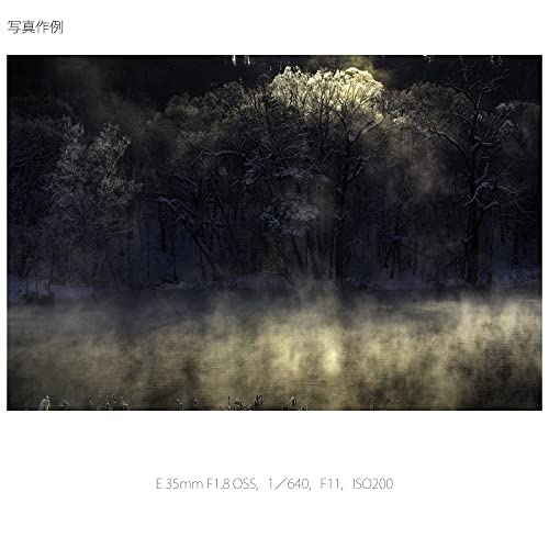 ソニー(SONY) 標準単焦点レンズ APS-C E 35mm F1.8 OSS デジタル一眼カメラα[Eマウント]用 純正レンズ SEL35F18_8